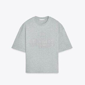 NWT Zara Women's METALLIC THREAD PLUSH SWEATSHIRT Oversize T-shirt Gray Size L